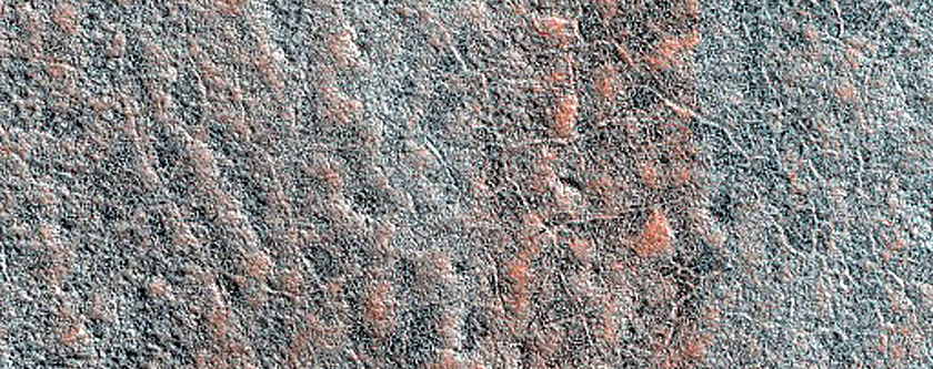 Terrain Sample