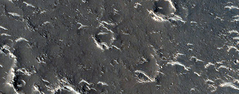 Terrain Sample