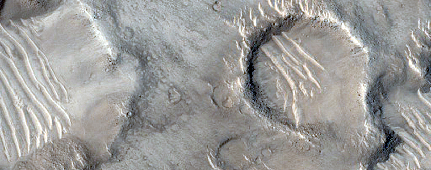Isidis Planitia