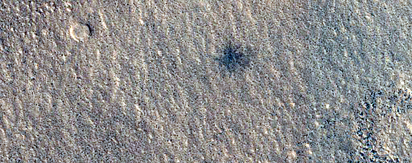 Joint CaSSIS-HiRISE Monitoring of New Impact Crater