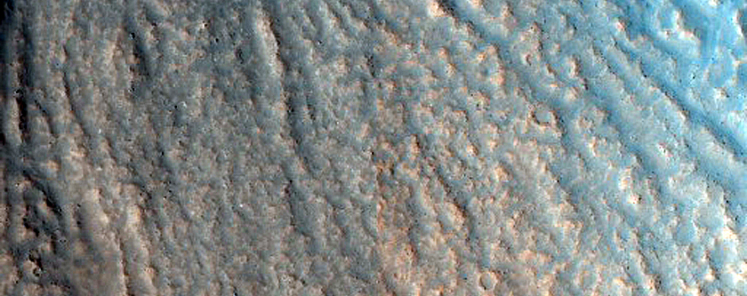 Gully and Lobate Glacier Fill of Fresh Looking Crater