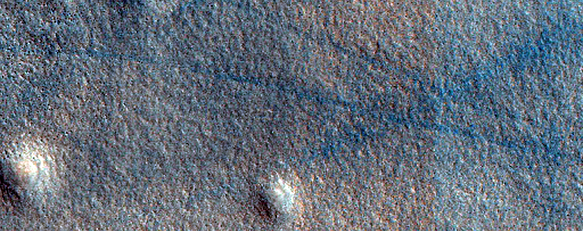 Terrain Sample