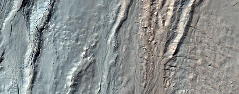 Gullied Crater Wall