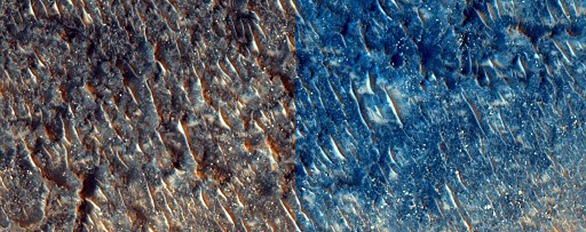 Small Intracrater Dune Field