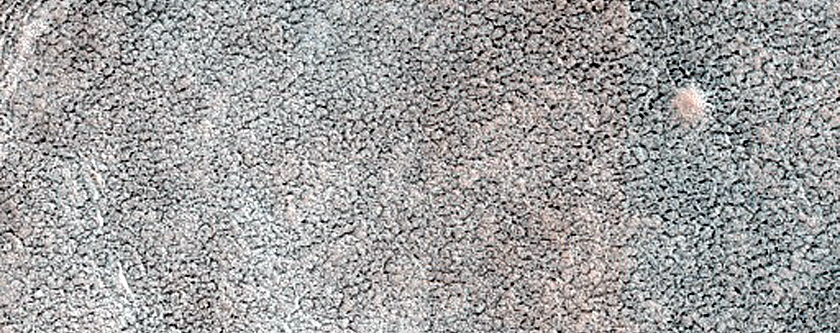 Terrain Sample