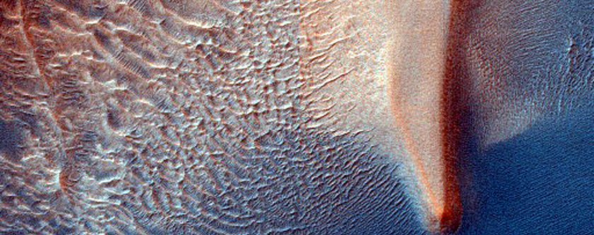 Dust Devil Tracks and Dune Transition