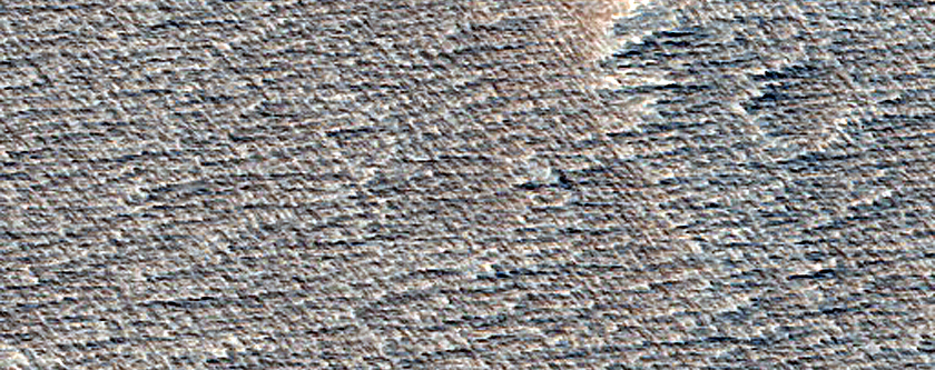 Candidate Recent Impact Site
