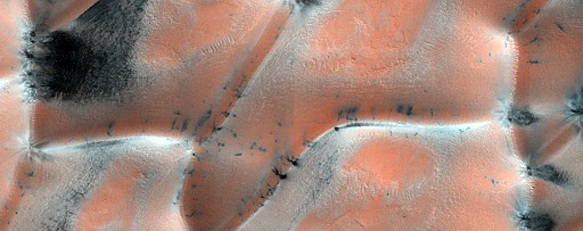 North Polar Gypsum Dunes