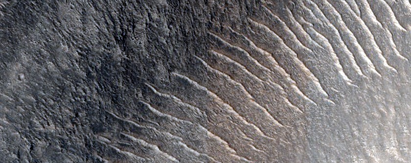 Terrain Sample