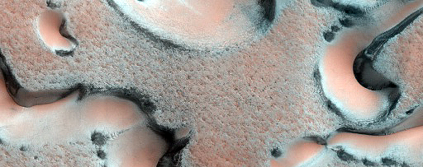 Dune Monitoring in Region Dubbed Palma