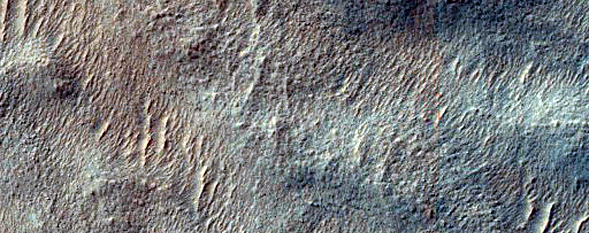 Dune Survey