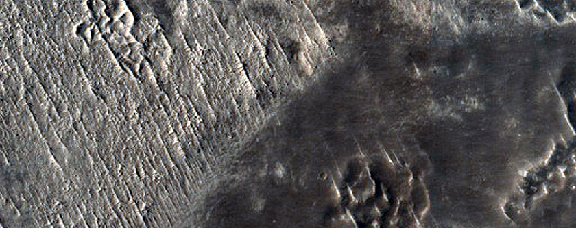 Terrain Sample