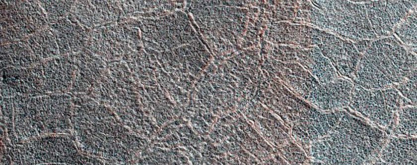 High-Latitude Northern Frost Enhanced Polygons
