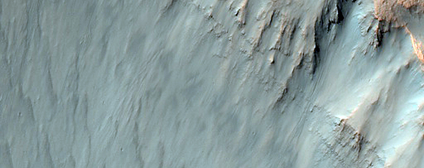 Gully in Crater in Terra Sirenum