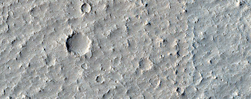 Amazonis Planitia Terrain Sample