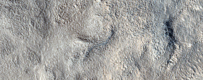 Terrain Sample