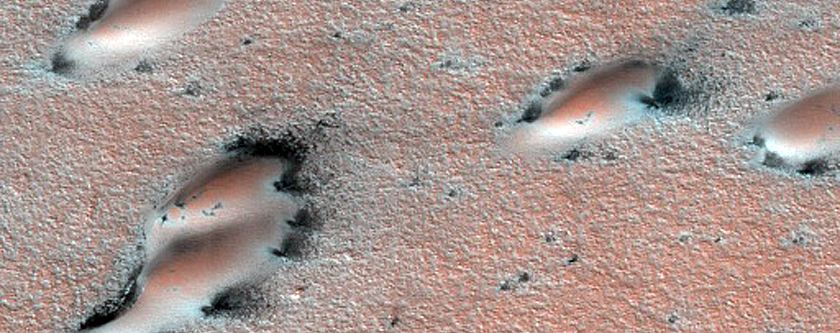 West Olympia Dune Ice Interaction
