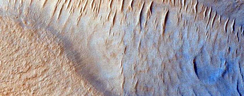 Dune Survey