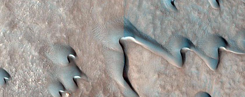 Dune Monitoring in Lyot Crater