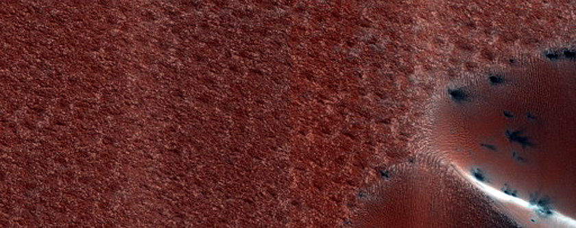 Dust-Raising Event and Streak Monitoring in North Polar Dune Field
