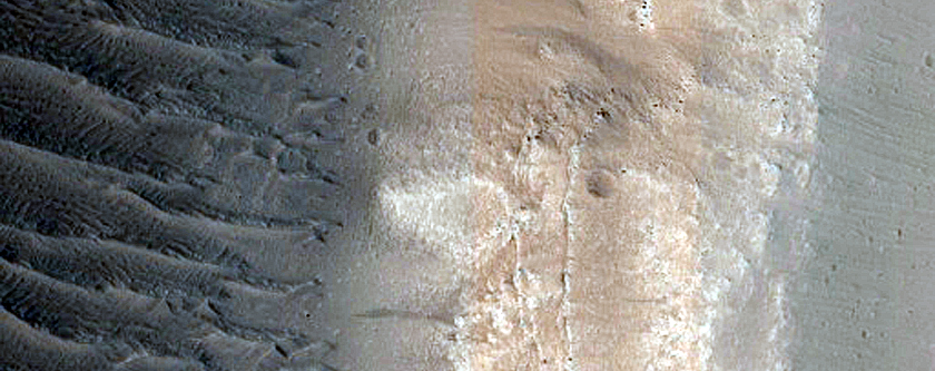 Terrain Sample