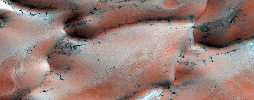 North Polar Gypsum Dunes