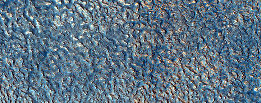 Impact Monitoring in Arcadia Planitia
