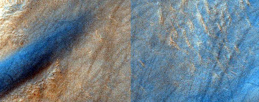 Dune Survey