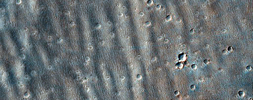 Daedalia Planum
