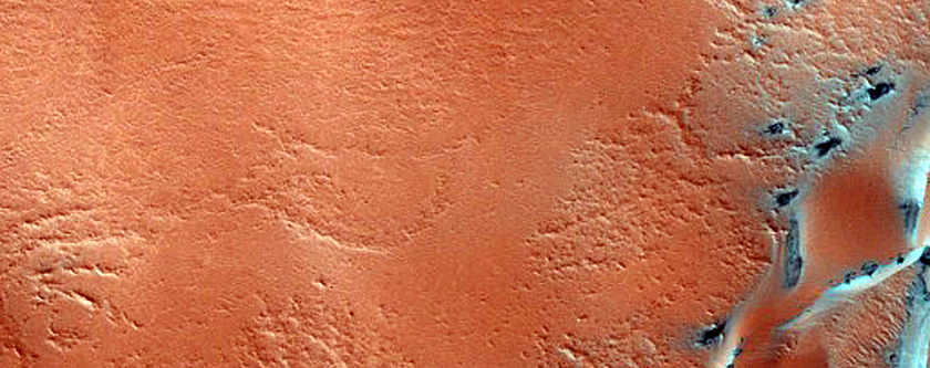 Polar Barchan Dune Convoy at Head of Olympia Undae