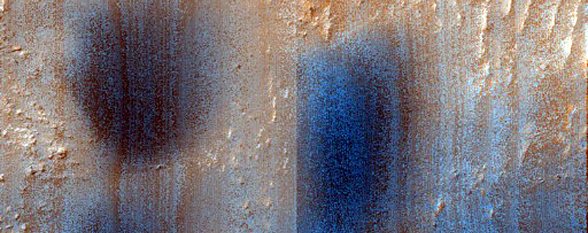 Dune Survey