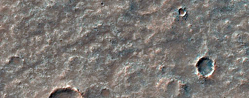 Albedo Monitoring in Solis Planum
