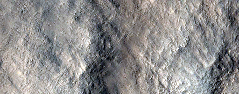 Terrain Sample