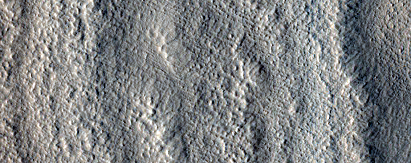 Terrain Sample