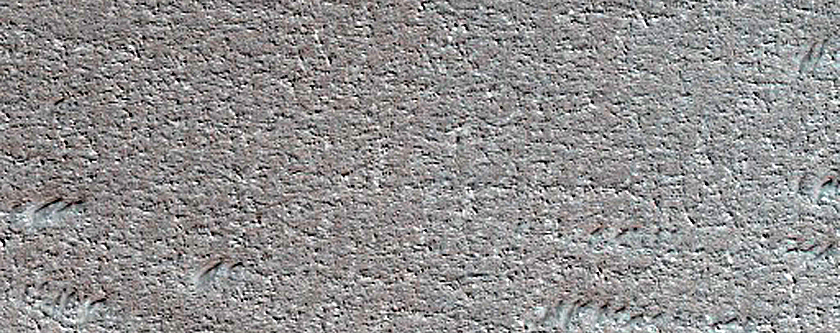 Terrain Sample