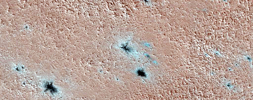 Terrain Sample