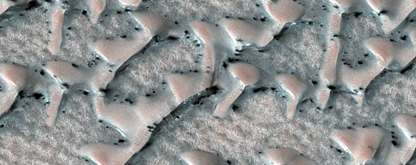 Dunes Shaped Like Ts and vs