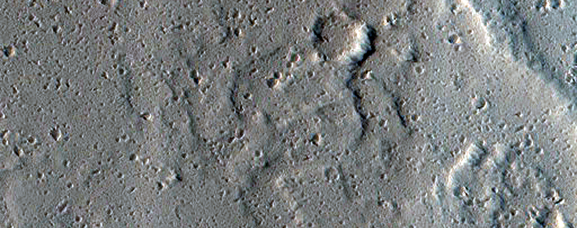 Terrain Sample