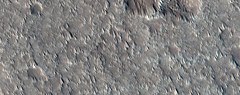 Terrain Sample