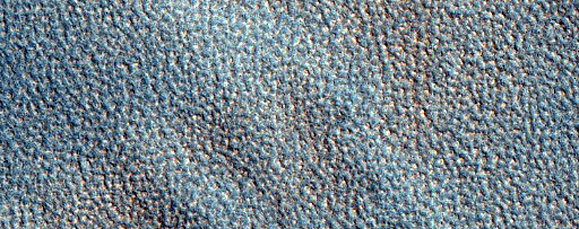 Terrain Sample