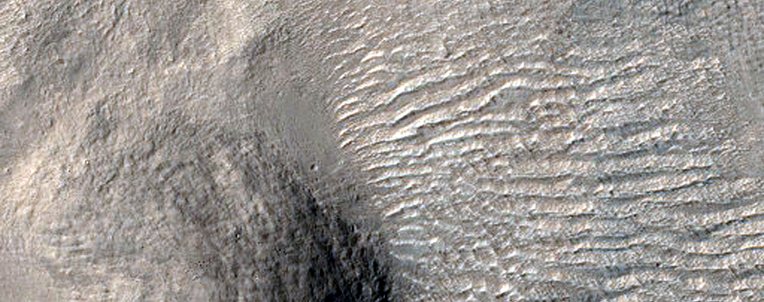 Terrain Sample