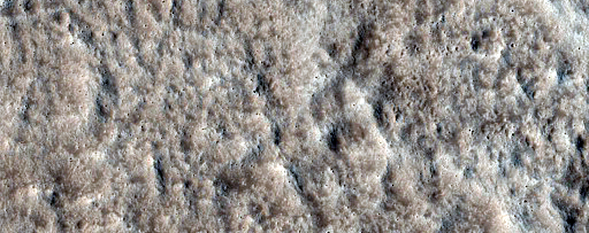Utopia Planitia