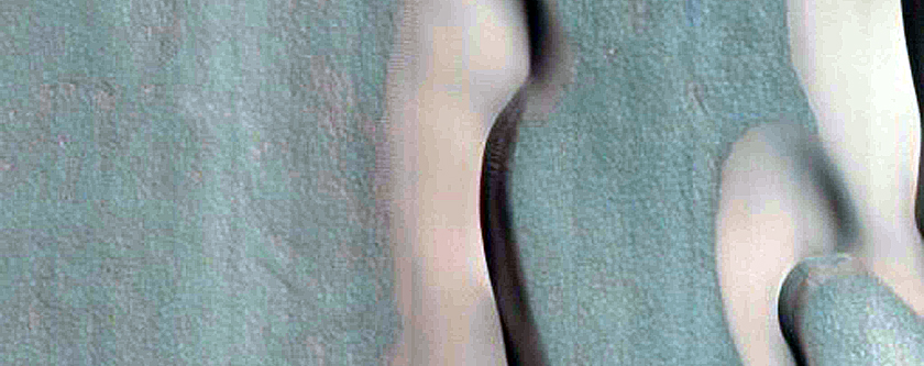 Dune Monitoring in Kunowsky Crater
