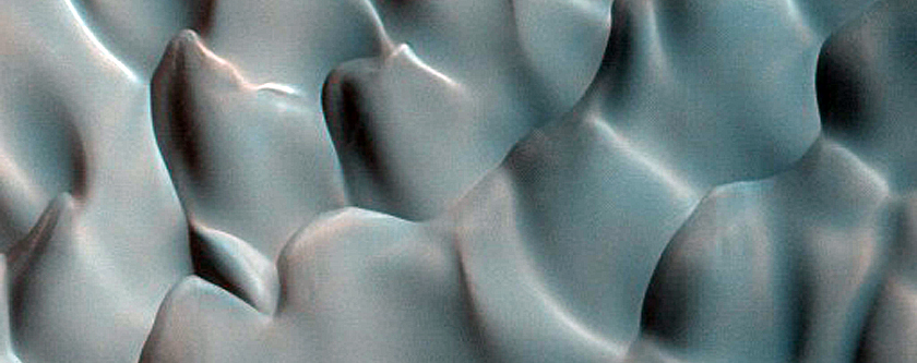 Dune Monitoring in Crater