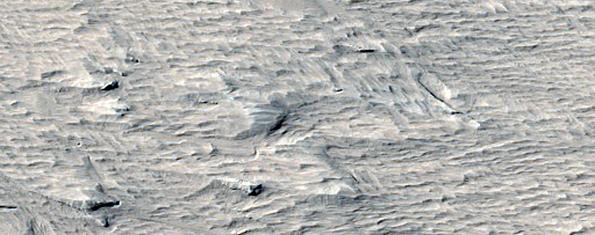 Terrain Sample