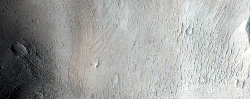 Lycus Sulci