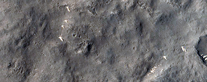 Nepenthes Planum