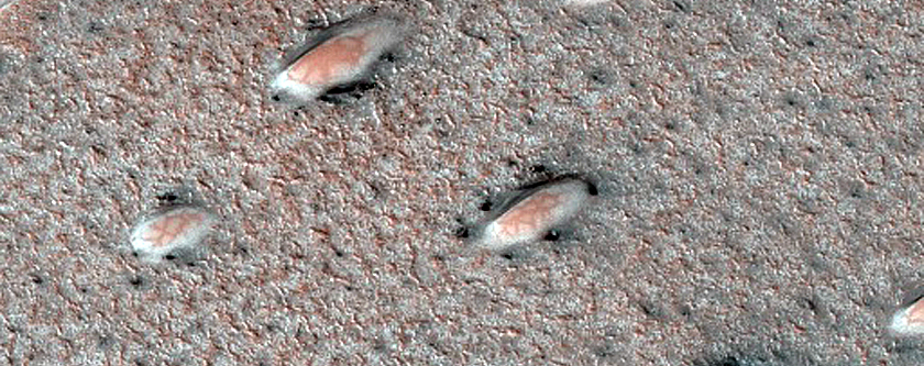 Seasonal Defrosting of West Olympia Region Polar Aeolian-Ice Landforms
