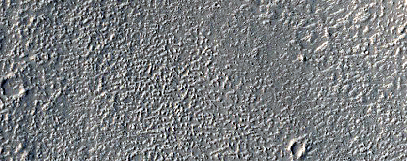 Arabia Terra