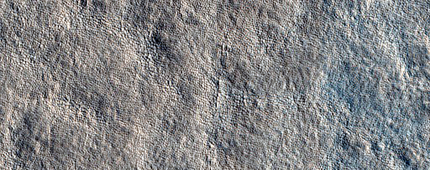 Terrain Sample
